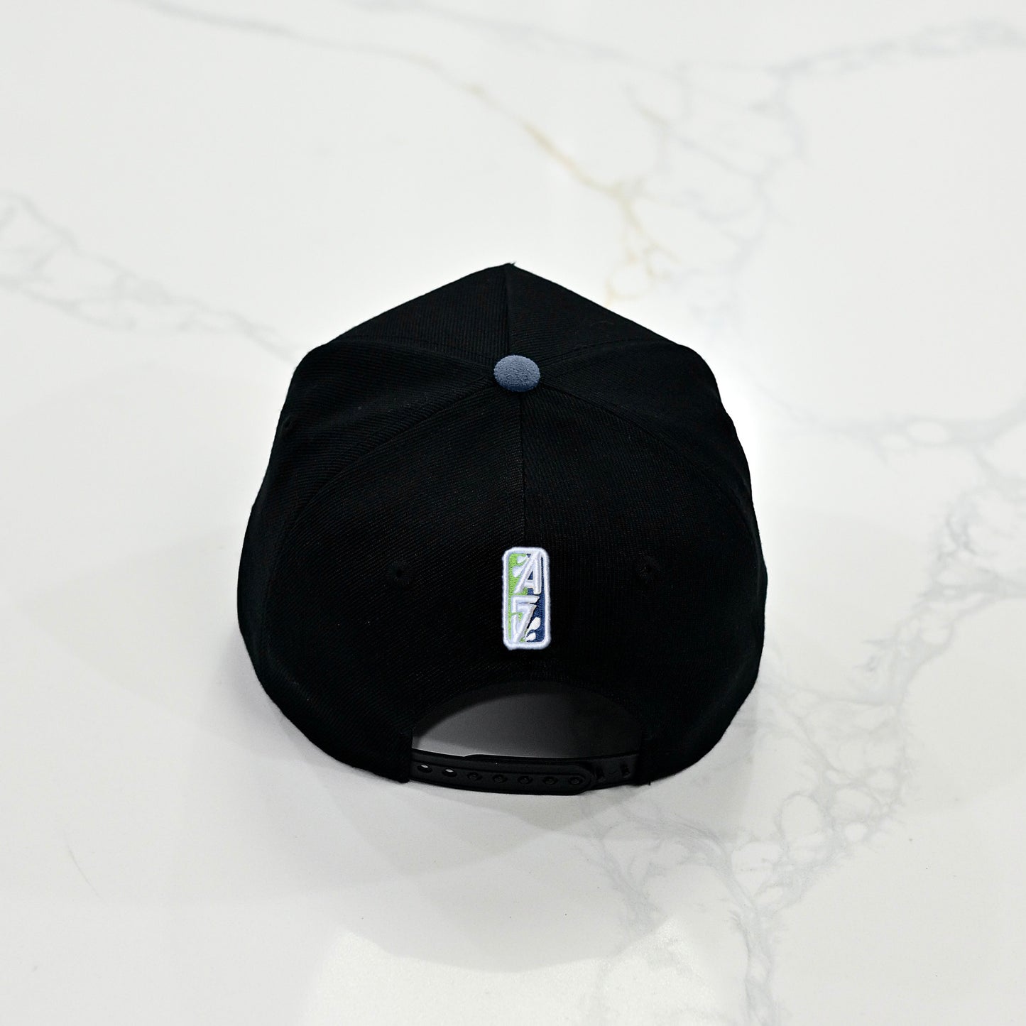 "TWIN CITIES" Minnesota Hat [PRE-ORDER]