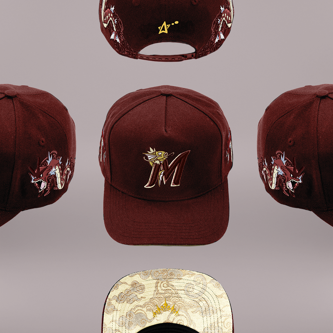 gyrados hat magikarp